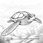 Sea Turtles in Their Natural Habitat: Ocean-Scene Coloring Pages 2