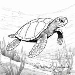 Sea Turtles in Their Natural Habitat: Ocean-Scene Coloring Pages 4