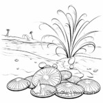 Seashells and Sand Dollars: Beach-themed Coloring Pages 4