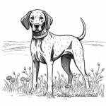 Seasonal German Shorthaired Pointer Coloring Pages 1