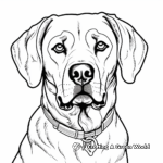 Serious Rottweiler Head Coloring Pages 4