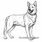 Short-Haired German Shepherd Coloring Pages 1