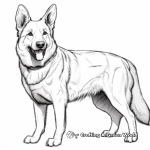 Short-Haired German Shepherd Coloring Pages 3