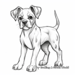 Show Dog Boxer Coloring Pages 2