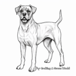 Show Dog Boxer Coloring Pages 4