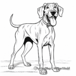 Show Dog Great Dane Coloring Sheets 2
