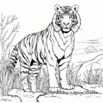Siberian Tiger Habitat Coloring Pages 1