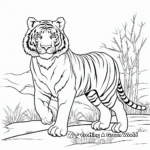 Siberian Tiger Habitat Coloring Pages 2