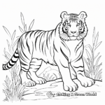 Siberian Tiger Habitat Coloring Pages 3
