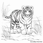Siberian Tiger in the Snow Coloring Pages 1
