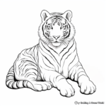 Siberian Tiger Relaxing Coloring Pages 4