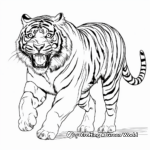Siberian Tiger Roaring Coloring Pages 3