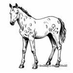 Simple Appaloosa Foal Coloring Pages for Children 1