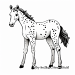 Simple Appaloosa Foal Coloring Pages for Children 3