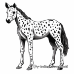 Simple Appaloosa Foal Coloring Pages for Children 4