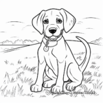 Simple Beagle Coloring Pages for Children 3
