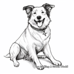 Simple Border Collie Coloring Pages for Children 1