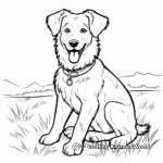 Simple Border Collie Coloring Pages for Children 3