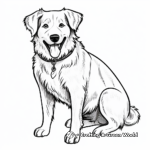 Simple Border Collie Coloring Pages for Children 4