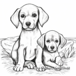Simple Chocolate Lab Puppies Coloring Pages for Children 4