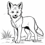 Simple Coyote Picture Coloring Pages for Children 2