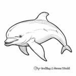 Simple Dolphin Drawing Coloring Pages for Kids 1