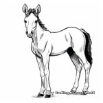 Simple Foal Coloring Pages for Early Years 2