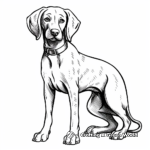 Simple German Shorthaired Pointer Coloring Pages for Young Children 4