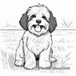 Simple Havanese Dog Coloring Pages for Kids 1