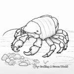Simple Hermit Crab Coloring Sheets for Kids 1