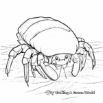 Simple Hermit Crab Coloring Sheets for Kids 2