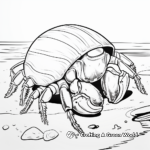 Simple Hermit Crab Coloring Sheets for Kids 3