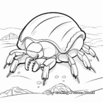 Simple Hermit Crab Coloring Sheets for Kids 4