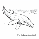 Simple Humpback Whale Coloring Pages for Preschoolers 1