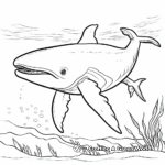 Simple Humpback Whale Coloring Pages for Preschoolers 2