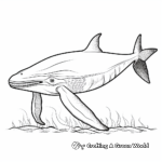 Simple Humpback Whale Coloring Pages for Preschoolers 3