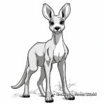 Simple Kangaroo Coloring Pages for Children 4