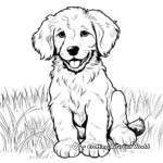 Simple Kid-Friendly Bernedoodle Coloring Pages 4