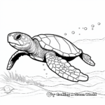 Simple Olive Ridley Sea Turtle Coloring Pages for Children 3