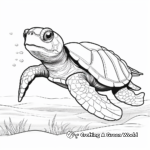 Simple Olive Ridley Sea Turtle Coloring Pages for Children 4