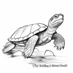 Simple Painted Turtle Coloring Pages for Beginners 2