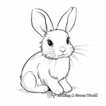 Simple Rabbit Coloring Pages for Beginners 2