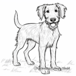 Simple Scottish Deerhound Coloring Pages for Kids 2