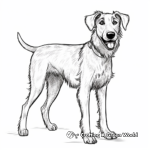 Simple Scottish Deerhound Coloring Pages for Kids 3