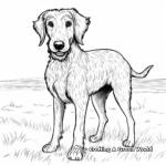 Simple Scottish Deerhound Coloring Pages for Kids 4
