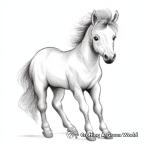 Simple Shetland Pony Coloring Pages for Children 2