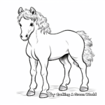 Simple Shetland Pony Coloring Pages for Children 4