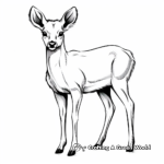 Simple Young Elk Coloring Pages for Kids 1