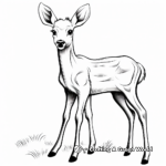 Simple Young Elk Coloring Pages for Kids 4