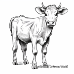 Simplistic Jersey Cow Coloring Pages for Calmness 1